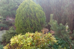 IMG_20221019_082844-scaled