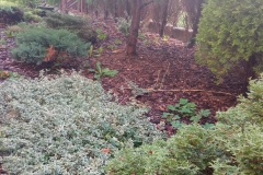 IMG_20221019_082859-scaled