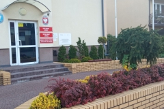 IMG_20221019_083002-scaled