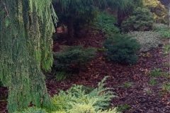 IMG_20221019_082752-scaled