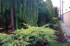 IMG_20221019_082800-scaled