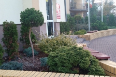 IMG_20221019_082952-scaled