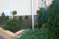 IMG_20221019_083020-scaled