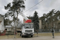 DrzewaNiebezpieczne_11zon